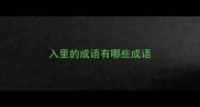 入里的成语有哪些成语