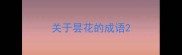 关于昙花的成语