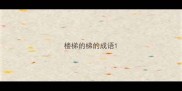 楼梯的梯的成语