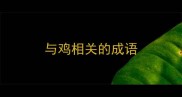 与鸡相关的成语