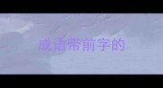 成语带前字的