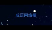 成语网络梗