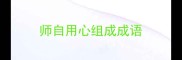 师自用心组成成语