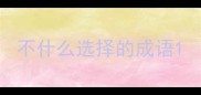 不什么选择的成语