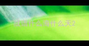 成语什么海什么天