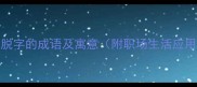 10个带脱字的成语及寓意附职场生活应用指南