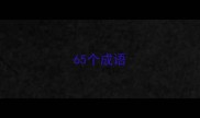 65个成语