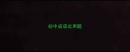 初中成语运用题