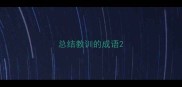 总结教训的成语