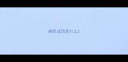 幽默成语是什么