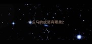 什么马的成语有哪些