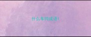什么车帅成语