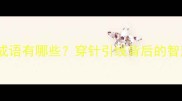 带针缝的成语有哪些穿针引线背后的智慧与双关