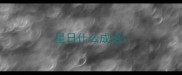 星日什么成语
