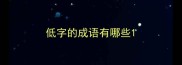 低字的成语有哪些