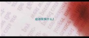 成语犊猴什么