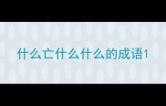 什么亡什么什么的成语