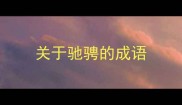 关于驰骋的成语