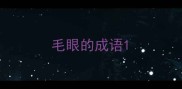 毛眼的成语