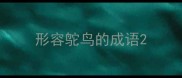 形容鸵鸟的成语