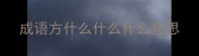 成语方什么什么什么意思
