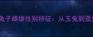 10个经典成语兔子雌雄性别特征从玉兔到孤兔的文化密码