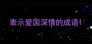 表示爱国深情的成语