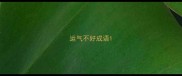 运气不好成语
