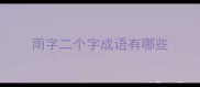 雨字二个字成语有哪些