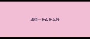 成语一什么什么行