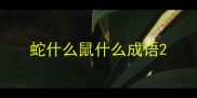 蛇什么鼠什么成语