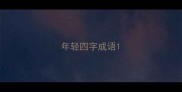 年轻四字成语