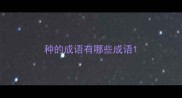 种的成语有哪些成语
