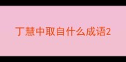 丁慧中取自什么成语