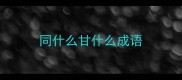 同什么甘什么成语