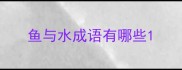 鱼与水成语有哪些