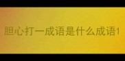 胆心打一成语是什么成语