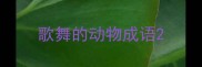 歌舞的动物成语