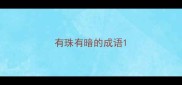 有珠有暗的成语