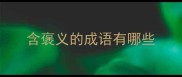 含褒义的成语有哪些