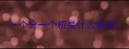 一个分一个析是什么成语