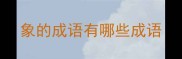象的成语有哪些成语