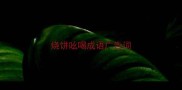 烧饼吆喝成语广告词