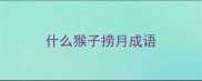 什么猴子捞月成语