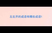 左右开的成语有哪些成语