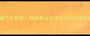 动物标本暗藏千年智慧猜猜看这些活化石对应哪些经典成语