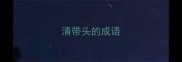 清带头的成语