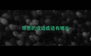 带恩的成语成语有哪些