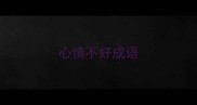 心情不好成语