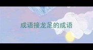 成语接龙足的成语